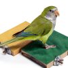 Petsvv Bird Perch Stand Natural Wood Parrot Toy Platform-3