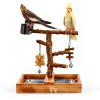 LIMIO Bird Playground Stand Natural Wood Small Medium Birds-2