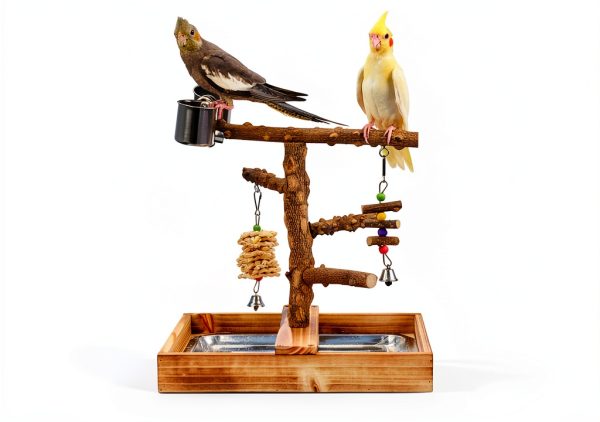 LIMIO Bird Playground Stand Natural Wood Small Medium Birds-2