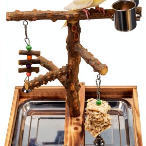 LIMIO Bird Playground Stand Natural Wood Small Medium Birds-0