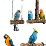 LovyoCoCo Bird Perch Set Natural Wood Small Medium Birds-0