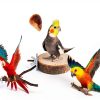Yiwu Shi Zhanyue Natural Wood Bird Perch Mix Color BON0992-2