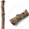 LIMIO Bird Perch Natural Wood Non Slip Easy Install Small-3