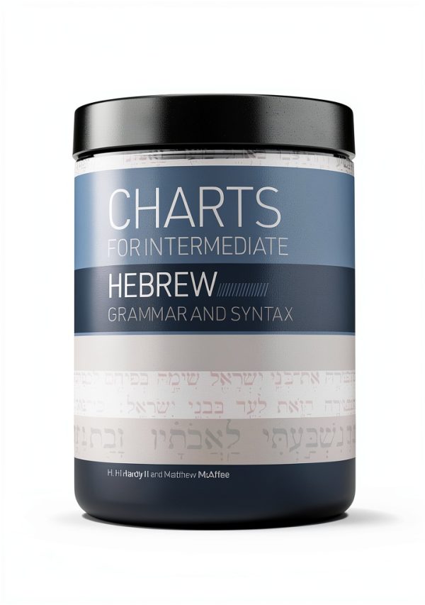 B&H Academic Hebrew Language Instruction Kindle-0