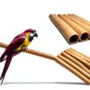 Birheatry Bird Perch Sand Cover 7.5in 3/8 Calcium Enrichment-5